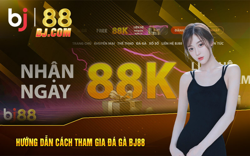 Hướng dẫn cách tham gia Đá gà BJ88