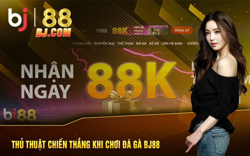 Thủ thuật chiến thắng khi chơi đá gà BJ88